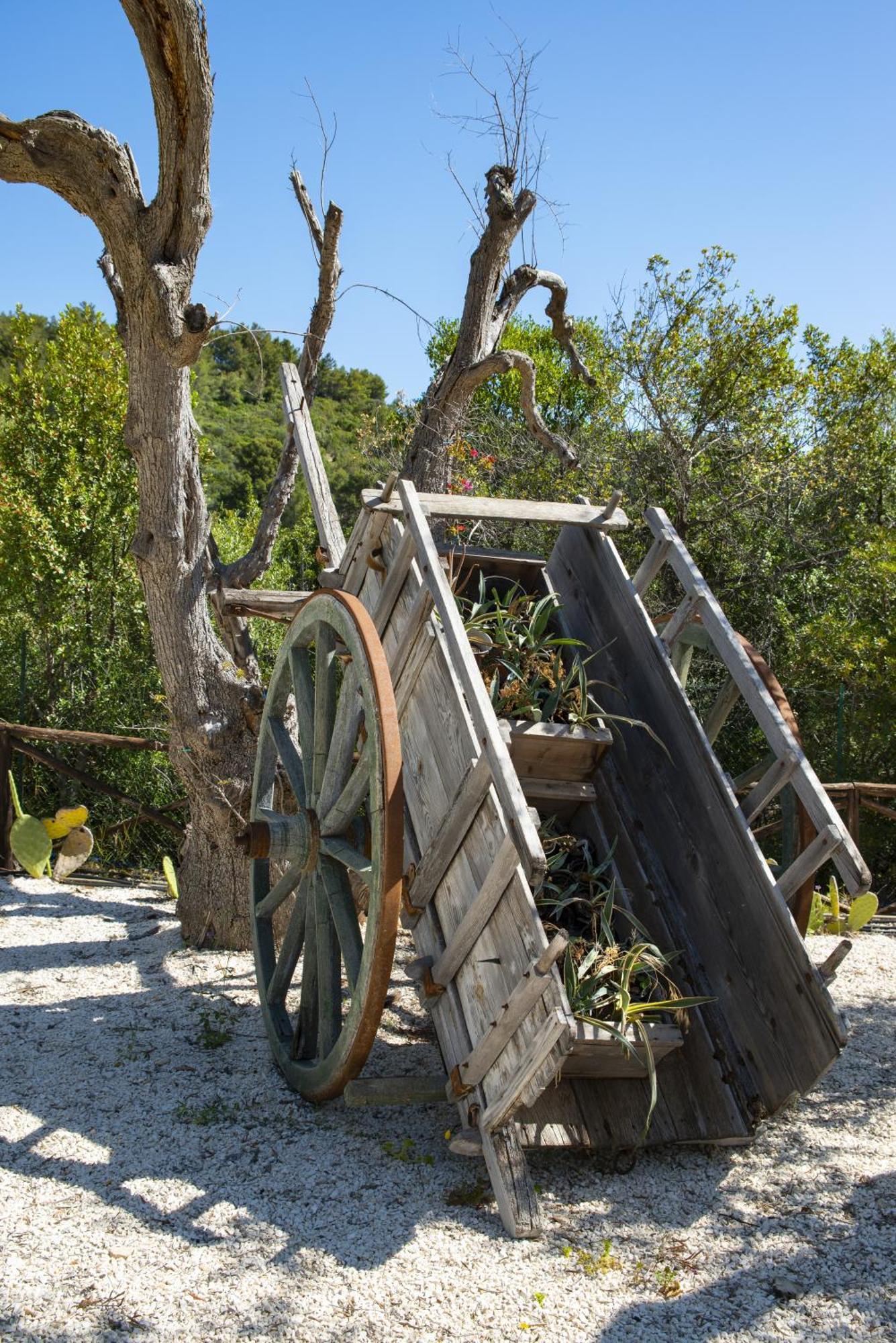 Hmo Glamping & Suites In Vignanotica Матината Екстериор снимка